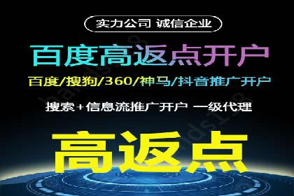 百度竞价排名服务助力：某品牌迅速占领市场